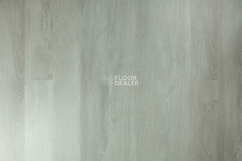 Tarkett Funky House CRUZE фото 7 | FLOORDEALER